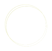 ALK Foundation